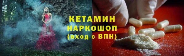 шишки Аркадак