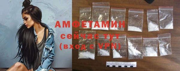 шишки Аркадак