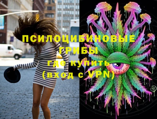 apvp Алексин