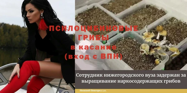 МДМА Алексеевка