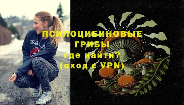 а пвп мука Армянск